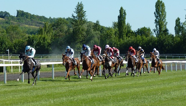 Lingfield Races