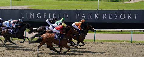 Lingfield Race Day - May 2026
